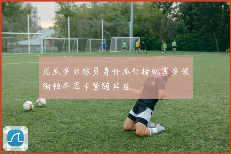 厄瓜多尔球员身价排行榜凯塞多领衔帕乔因卡紧随其后