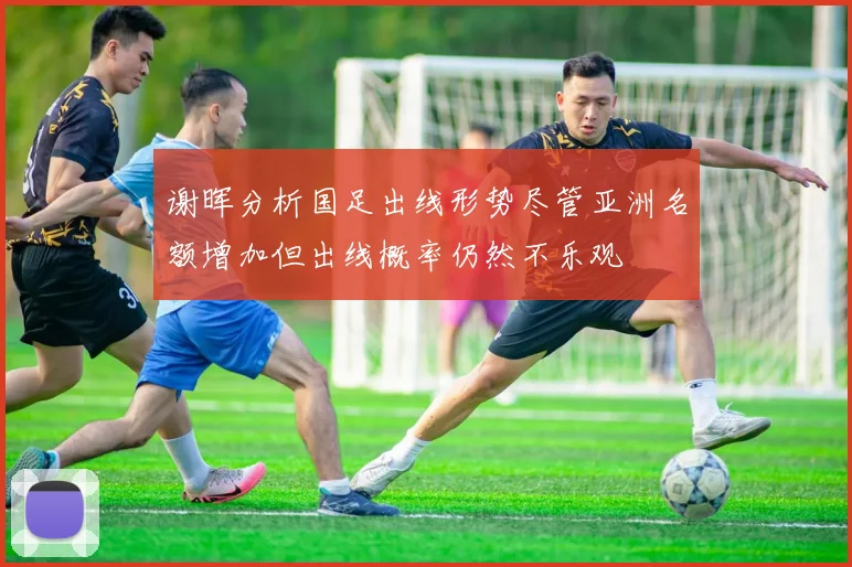 谢晖分析国足出线形势尽管亚洲名额增加但出线概率仍然不乐观